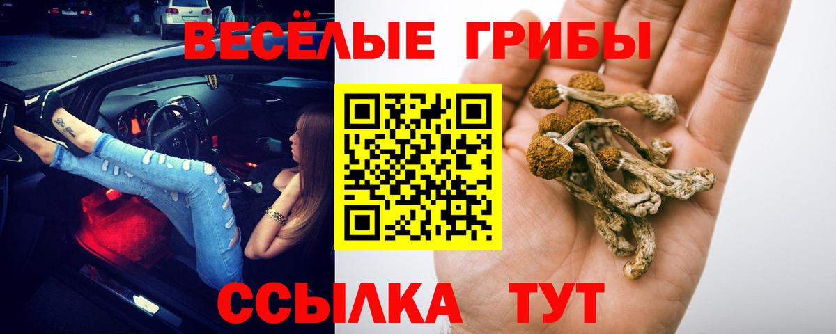 Галлюциногенные грибы мицелий  Вход с VPN  Коркино 
